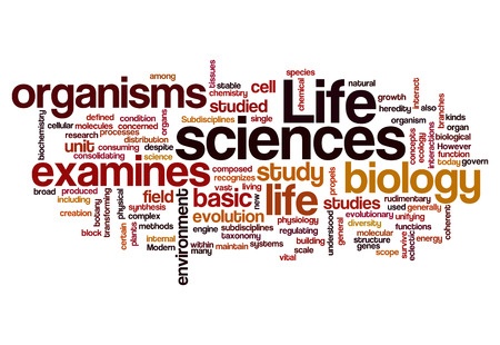 23457766 - life sciences biology concept background on white