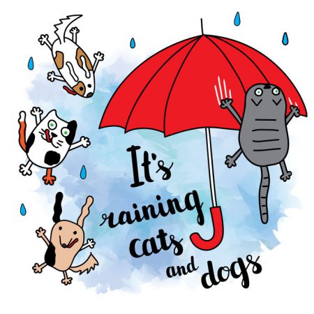 "It's raining cats and dogs" Falling raindrops and umbrella with cats and dogs. 